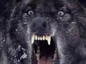 killer