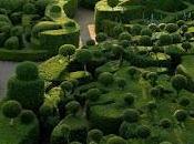 L’arte della potatura