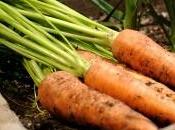 L’autoproduzione secondo grazia