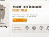Cancellare Cache, Cookies tutte tracce navigazione Privacy Agent