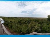 Applicazioni gratuite Windows