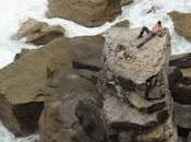 Lettore della settimana