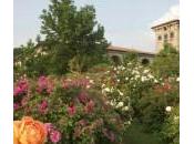 castello delle rose: scoprite profumato giardino Castello Quistini