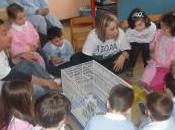 AIDAA “Gli animali sono giocattoli” campagna delle scuole, Molise
