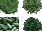 alga spirulina dimagrire