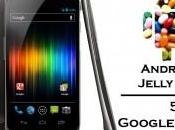 Google Nexus l’uscita Android Jelly Bean?