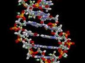 Cronistoria DNA: 1868 Friedrich Miescher
