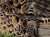 sughero come isolante termoacustico