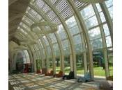 Meyer Firenze sono colori della vita