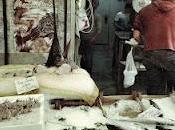 Spezie Pesce Spada