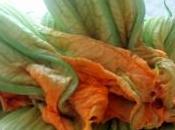 Tortino fiori zucca risotto alle zucchine fonduta gorgonzola… Quando nulla puoi creare tutto!