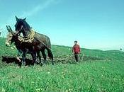 Ritorno alla terra, ritorno vita vera.