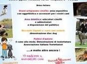 Dogs, bello belli