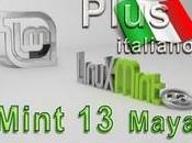 Mint Plus italiano Cinnamon Mate