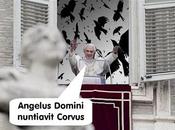 Angelus Domini nuntiavit Corvus