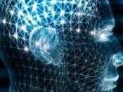 memoria conserva lungo allenando cervello