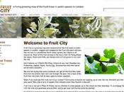 Fruit city