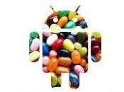 Android Jelly Bean arrivo fine 2012, tutte caratteristiche