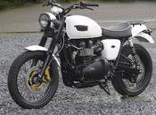 Triumph Scrambler "Whitey" Raisch