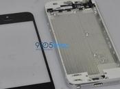 Nuove immagini iPhone Apple