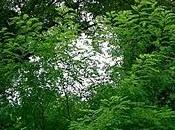 sabato, osservando...