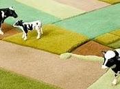 landcarpet_paesaggi visti dall'alto