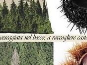 rubrica _design your life ottobre