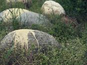 Splattered stones.