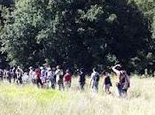 fine settimana trekking cavallo parchi Montaione Montaione:Two days