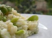 Risotto Fave semi Finocchio... ovvero macco rivisisato!!