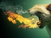 Immagini divertenti Photoshop