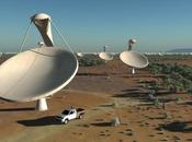 grande radiotelescopio condiviso Africa Australia