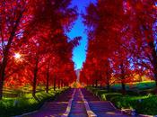 Cool Design #02: tipografia, design, fotografia digital