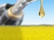 Biocarburanti: Carburante Ecologico