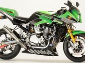 Kawasaki RCM-195 Ninja Sports Package Type-RR Sanctuary Tokyo West