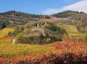 Positività benvenuti nella vita