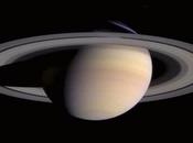 L’Elegante Saturno