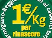 Aiutiamo Parmigiano Reggiano