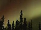 Feynman series (parte chiave della Scienza