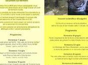 Paesaggio ritrovato/ Re-found Landscape