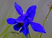 Felicità natura