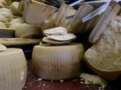 Progetto compra "formaggio della bassa": sostegno concreto terremotati