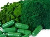 Alga Klamath Super