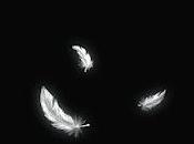 recensione: BIANCO NERO Filippo Gigante