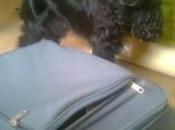 Tylde l’ansia della partenza