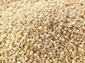 Metodo base preparazione della quinoa