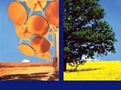 Alla scoperta delle bioenergie futuro