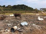 FOTO Sviluppo turistico Gargano