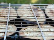 Dettagli serata estiva qualsiasi.