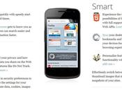 Rilasciato Firefox Android, veloce supporto Flash